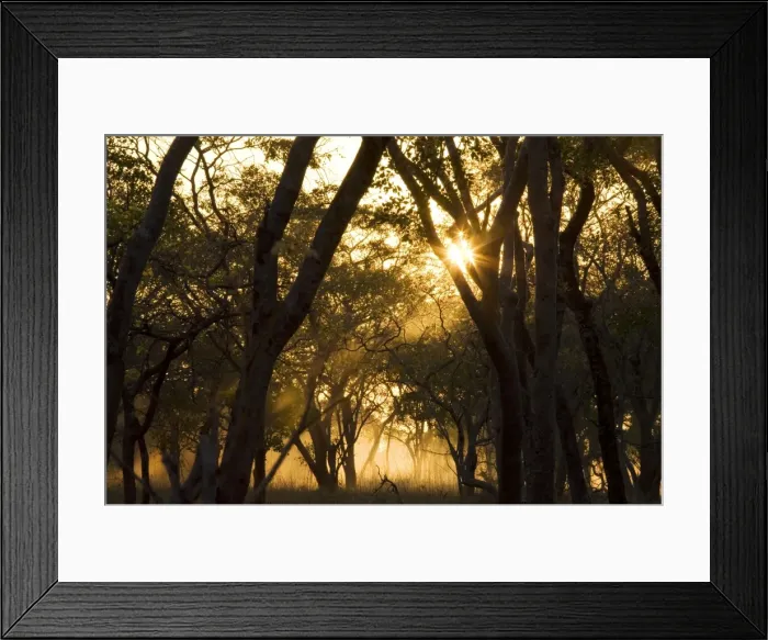 Framed Print : Picture No. 10761091 Framed Print : Picture No. 10761091