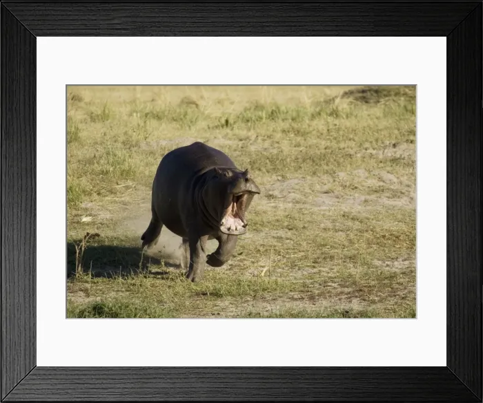 Framed Print : Picture No. 10761106 Framed Print : Picture No. 10761106