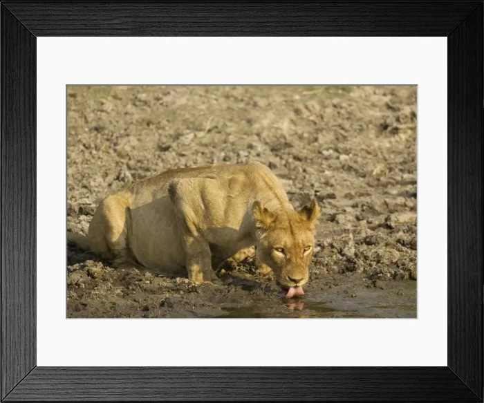 Framed Print : Picture No. 10761109 Framed Print : Picture No. 10761109