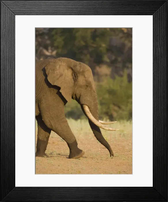 Framed Print : Picture No. 10761107 Framed Print : Picture No. 10761107