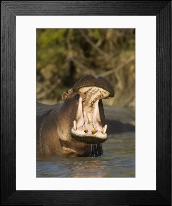 Framed Print : Picture No. 10761110 Framed Print : Picture No. 10761110