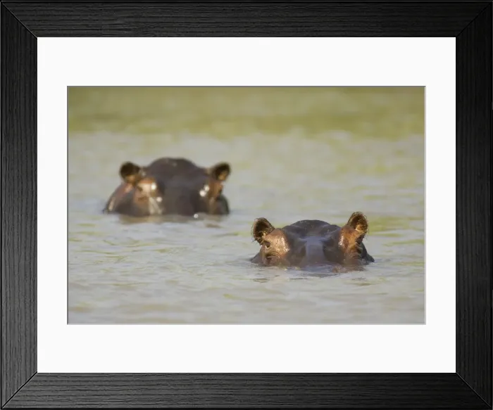 Framed Print : Picture No. 10761111 Framed Print : Picture No. 10761111