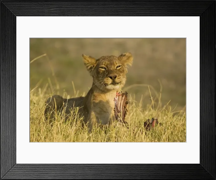 Framed Print : Picture No. 10761115 Framed Print : Picture No. 10761115