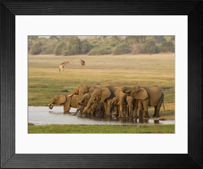 Framed Print : Picture No. 10761116 Framed Print : Picture No. 10761116