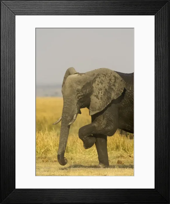 Framed Print : Picture No. 10761113 Framed Print : Picture No. 10761113
