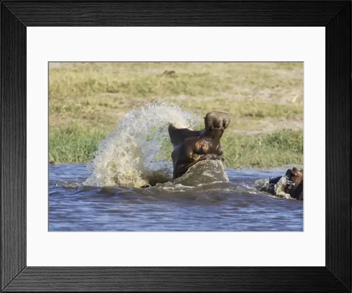 Framed Print : Picture No. 10761117 Framed Print : Picture No. 10761117