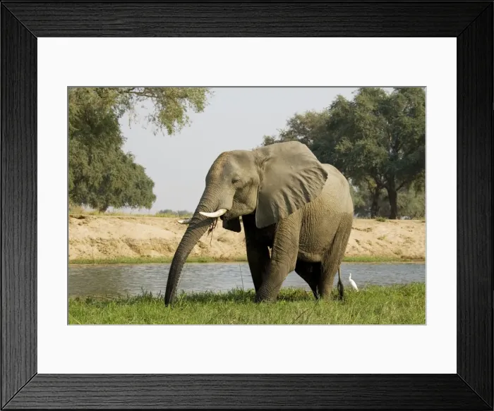 Framed Print : Picture No. 10761119 Framed Print : Picture No. 10761119