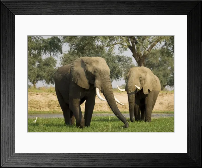 Framed Print : Picture No. 10761125 Framed Print : Picture No. 10761125