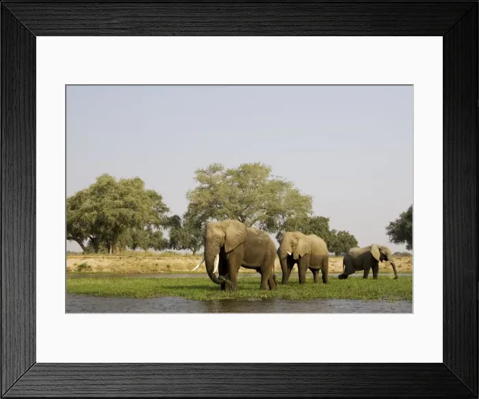 Framed Print : Picture No. 10761132 Framed Print : Picture No. 10761132