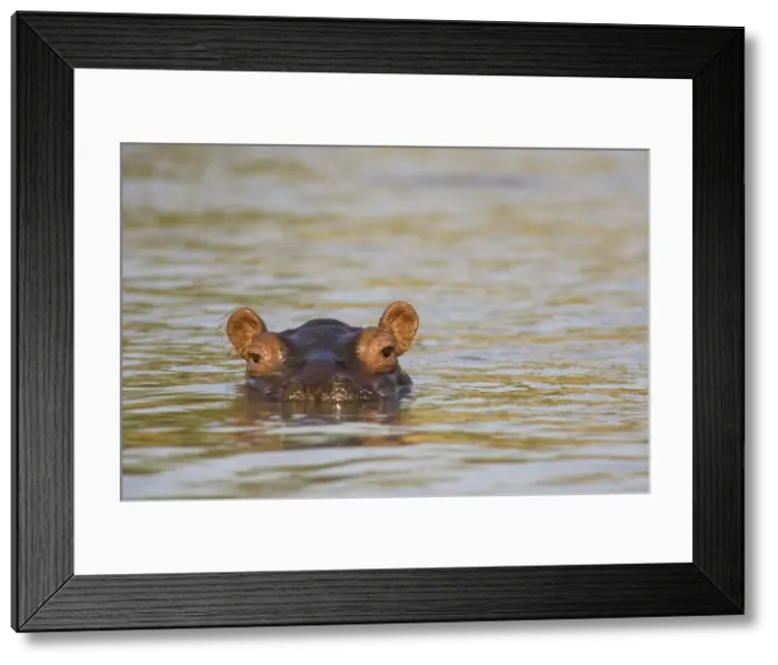 Framed Print : Picture No. 10761133 Framed Print : Picture No. 10761133