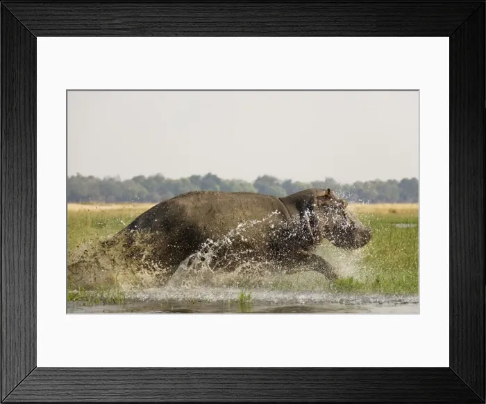 Framed Print : Picture No. 10761134 Framed Print : Picture No. 10761134