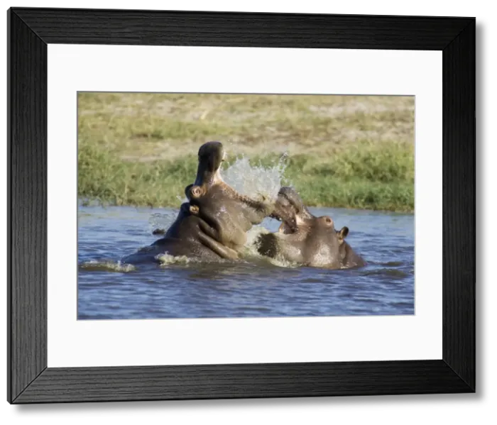 Framed Print : Picture No. 10761138 Framed Print : Picture No. 10761138