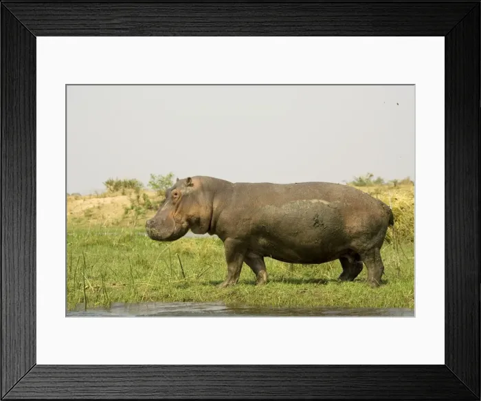 Framed Print : Picture No. 10761139 Framed Print : Picture No. 10761139