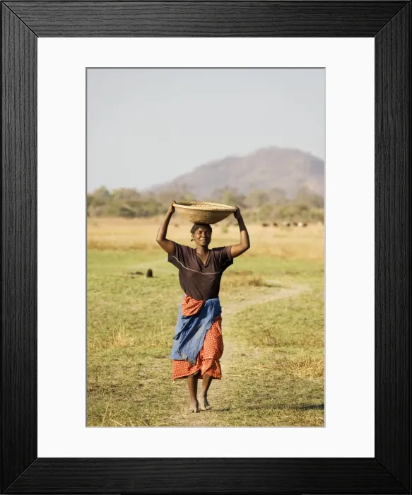 Framed Print : Picture No. 10761149