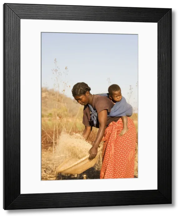 Framed Print : Picture No. 10761148 Framed Print : Picture No. 10761148