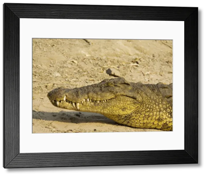 Framed Print : Picture No. 10761157 Framed Print : Picture No. 10761157