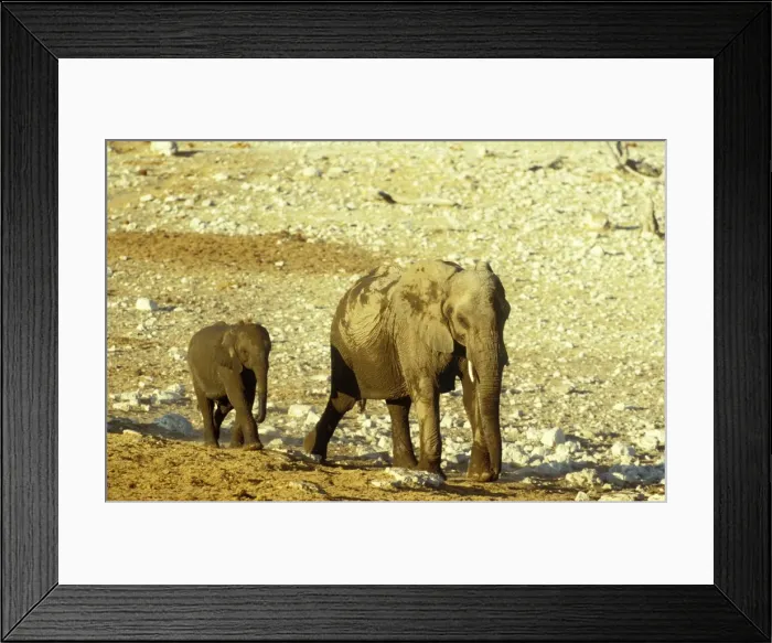 Framed Print : Picture No. 10761165 Framed Print : Picture No. 10761165