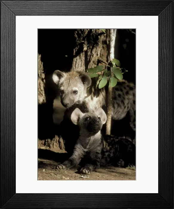 Framed Print : Picture No. 10761167 Framed Print : Picture No. 10761167