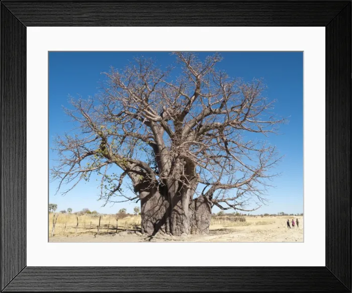 Framed Print : Picture No. 10761172