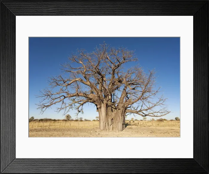 Framed Print : Picture No. 10761171