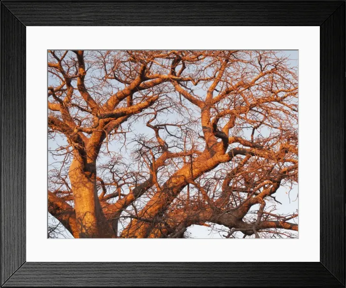 Framed Print : Picture No. 10761173 Framed Print : Picture No. 10761173