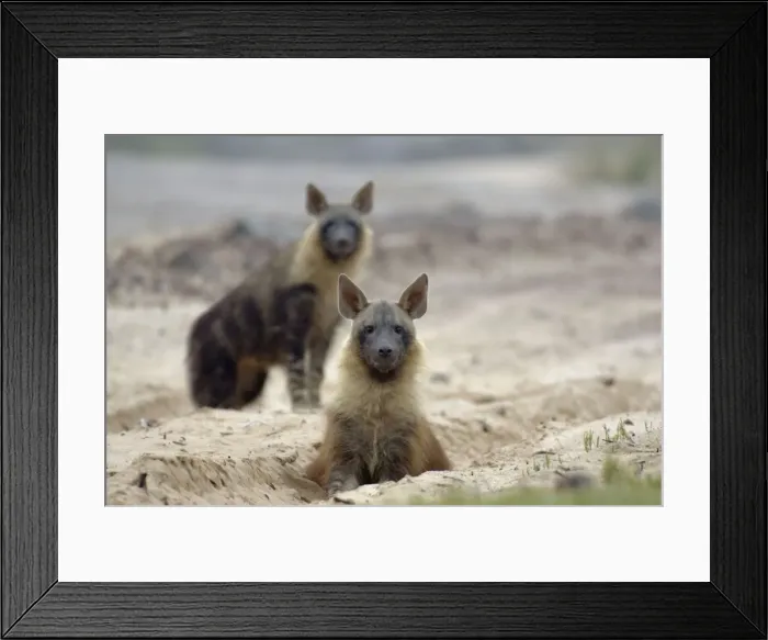 Framed Print : Picture No. 10761189 Framed Print : Picture No. 10761189
