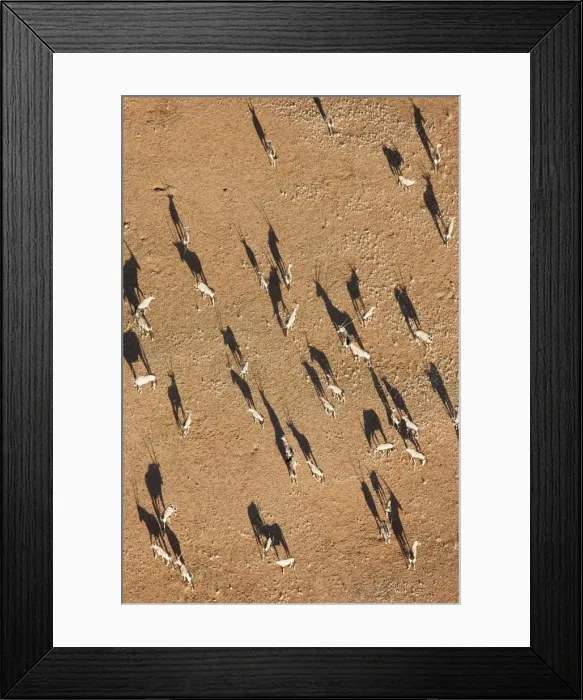 Framed Print : Picture No. 10761185 Framed Print : Picture No. 10761185