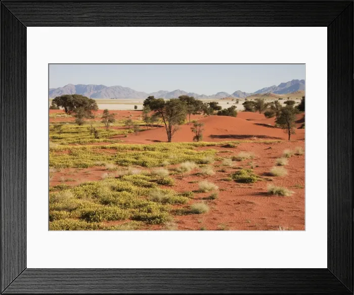 Framed Print : Picture No. 10761282 Framed Print : Picture No. 10761282