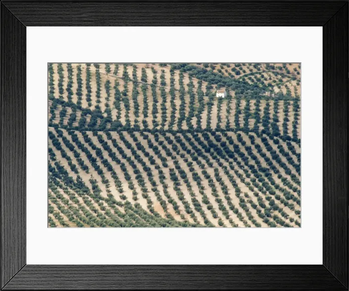 Framed Print : Picture No. 10760545 Framed Print : Picture No. 10760545