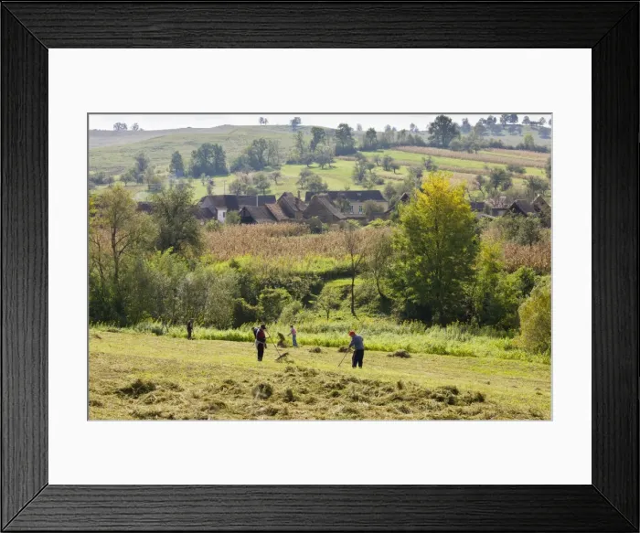 Framed Print : Picture No. 10756717 Framed Print : Picture No. 10756717