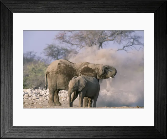 Framed Print : Picture No. 10760569 Framed Print : Picture No. 10760569