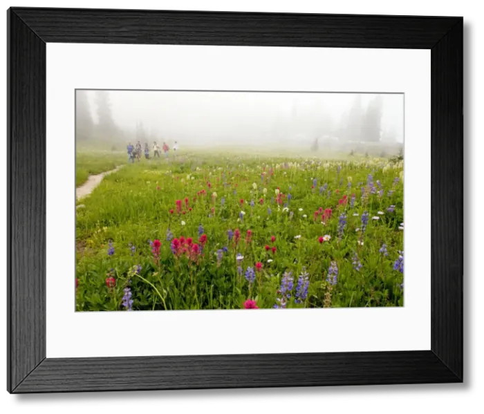 Framed Print : Picture No. 10756355 Framed Print : Picture No. 10756355