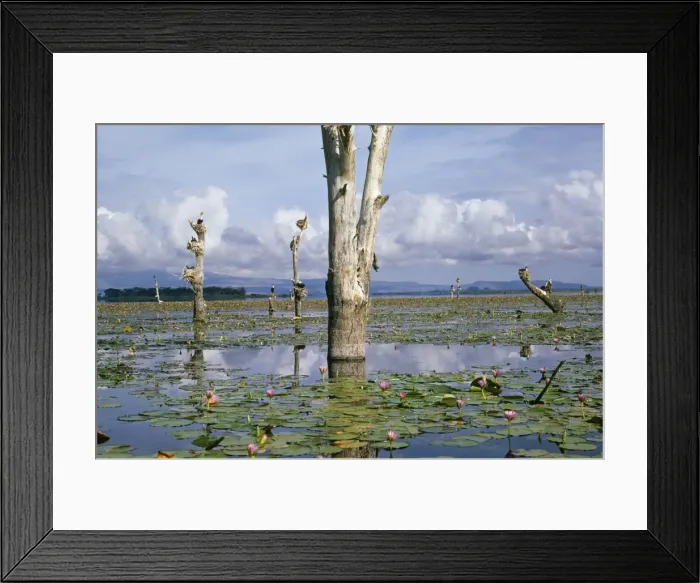 Framed Print : Picture No. 10760423 Framed Print : Picture No. 10760423