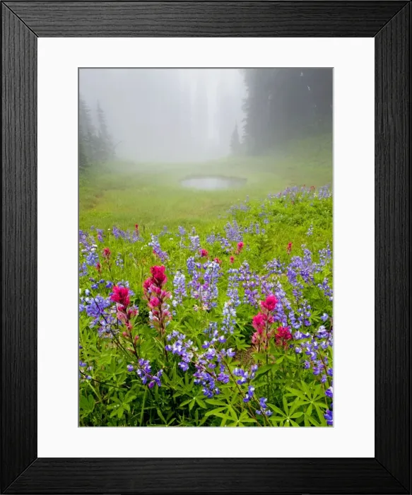 Framed Print : Picture No. 10756359 Framed Print : Picture No. 10756359