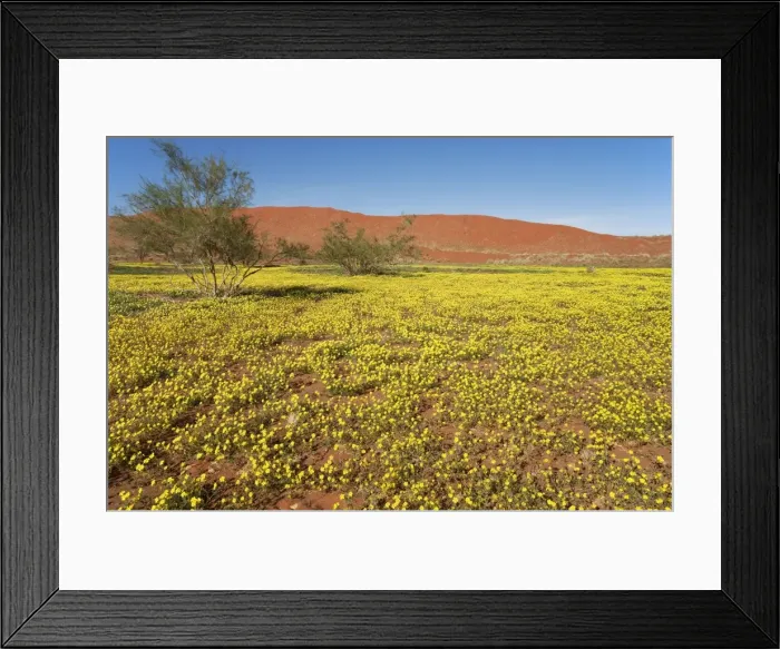 Framed Print : Picture No. 10761280 Framed Print : Picture No. 10761280