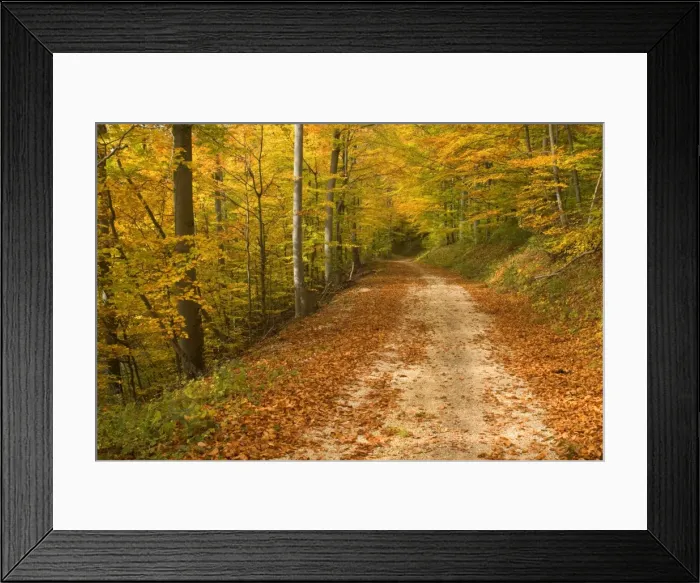 Framed Print : Picture No. 10758084 Framed Print : Picture No. 10758084