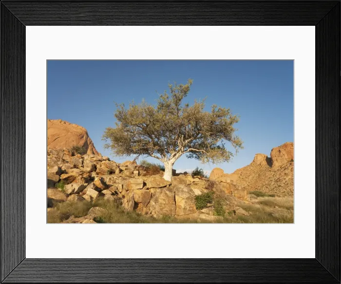 Framed Print : Picture No. 10761243 Framed Print : Picture No. 10761243