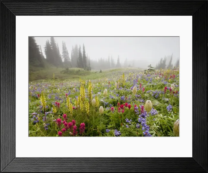 Framed Print : Picture No. 10756363