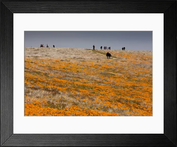 Framed Print : Picture No. 10756489 Framed Print : Picture No. 10756489