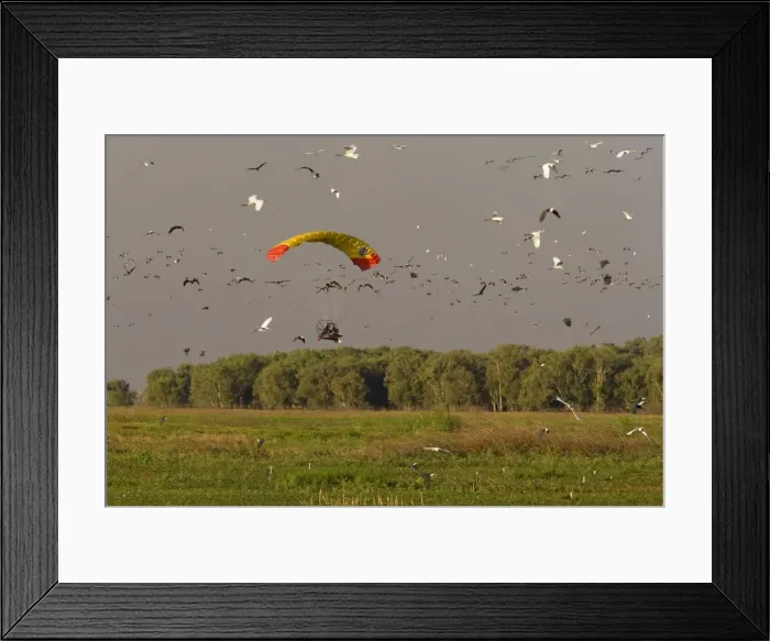 Framed Print : Picture No. 10758460 Framed Print : Picture No. 10758460