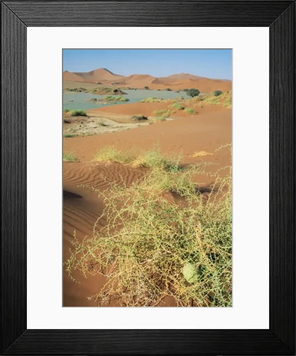 Framed Print : Picture No. 10760540 Framed Print : Picture No. 10760540