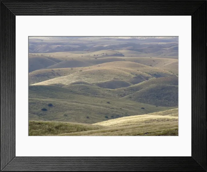 Framed Print : Picture No. 10761250 Framed Print : Picture No. 10761250