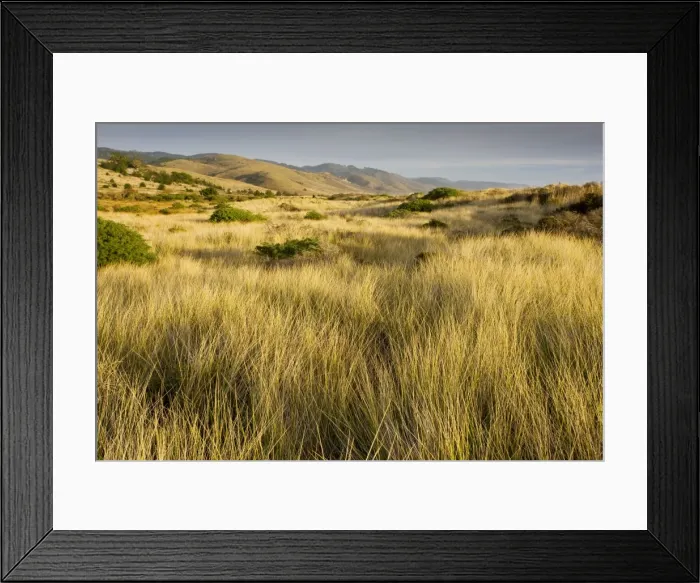 Framed Print : Picture No. 10756432 Framed Print : Picture No. 10756432