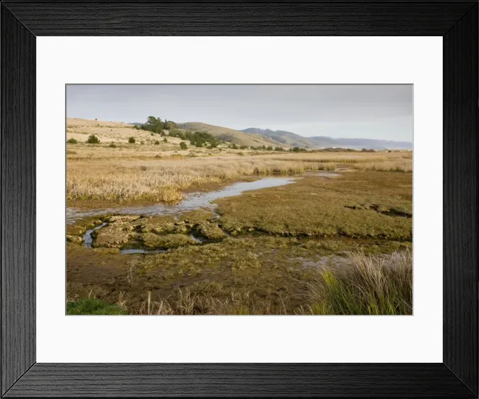 Framed Print : Picture No. 10756431