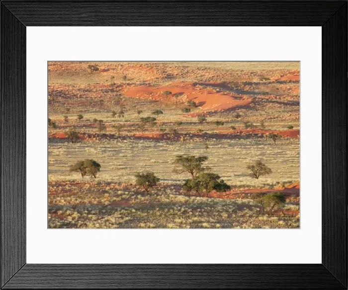 Framed Print : Picture No. 10761284 Framed Print : Picture No. 10761284