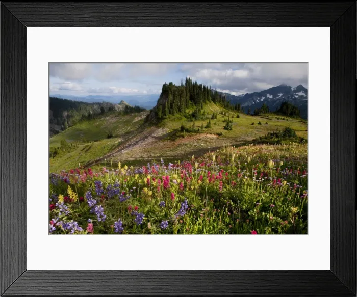 Framed Print : Picture No. 10756364 Framed Print : Picture No. 10756364