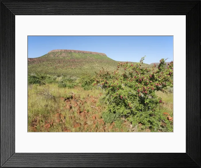 Framed Print : Picture No. 10761239 Framed Print : Picture No. 10761239