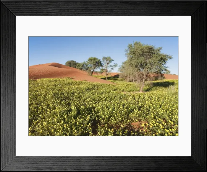 Framed Print : Picture No. 10761281 Framed Print : Picture No. 10761281