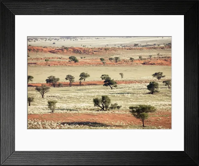 Framed Print : Picture No. 10761285 Framed Print : Picture No. 10761285