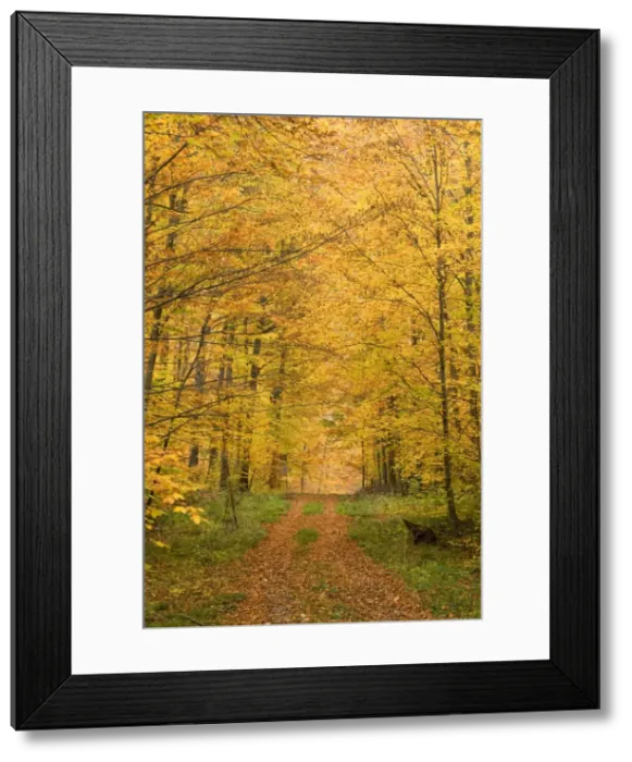 Framed Print : Picture No. 10758086 Framed Print : Picture No. 10758086